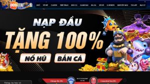 Lý do tại sao nên tại app nhà cái 0009Bet?